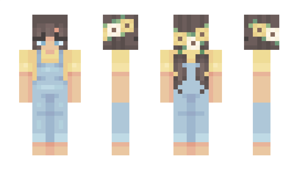 Bevaaa Minecraft Skin