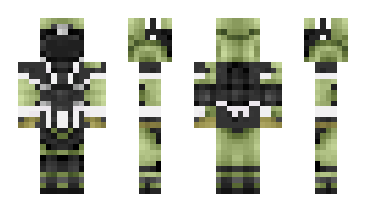 Ranarp Minecraft Skin