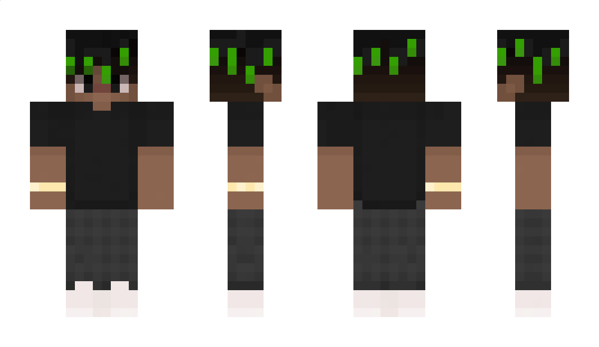 sbc Minecraft Skin