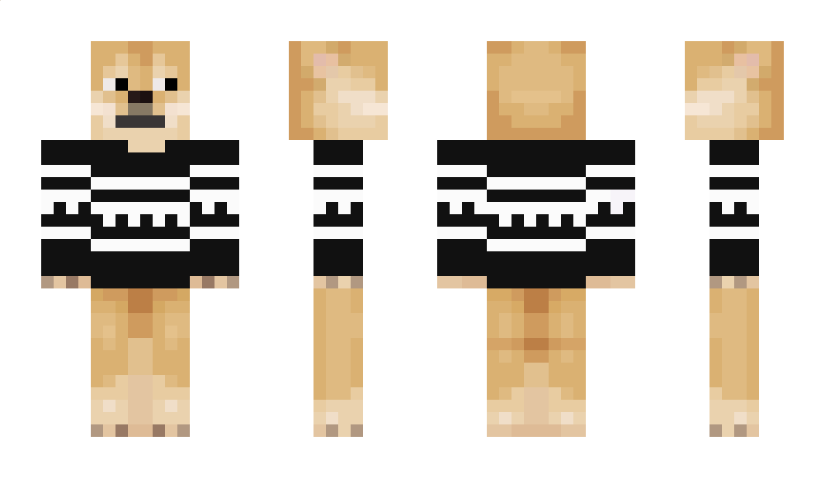 Techboy4 Minecraft Skin