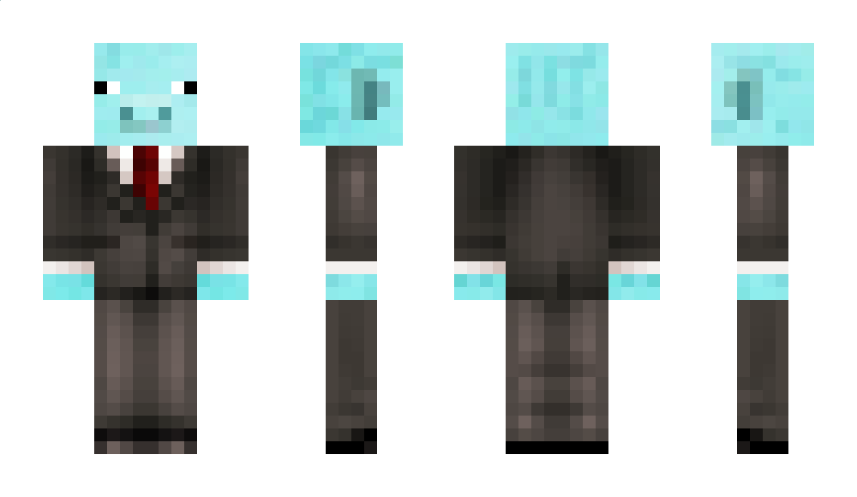 H316 Minecraft Skin