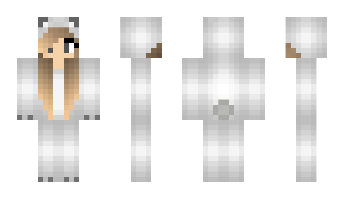 Doplhin Minecraft Skin