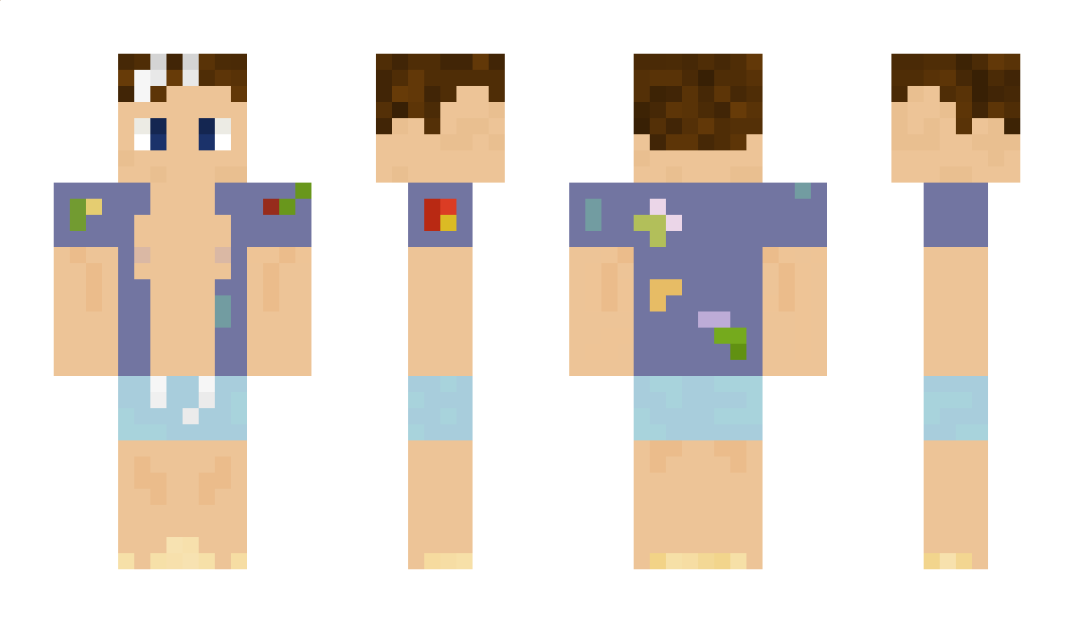 Zanyzebra1 Minecraft Skin