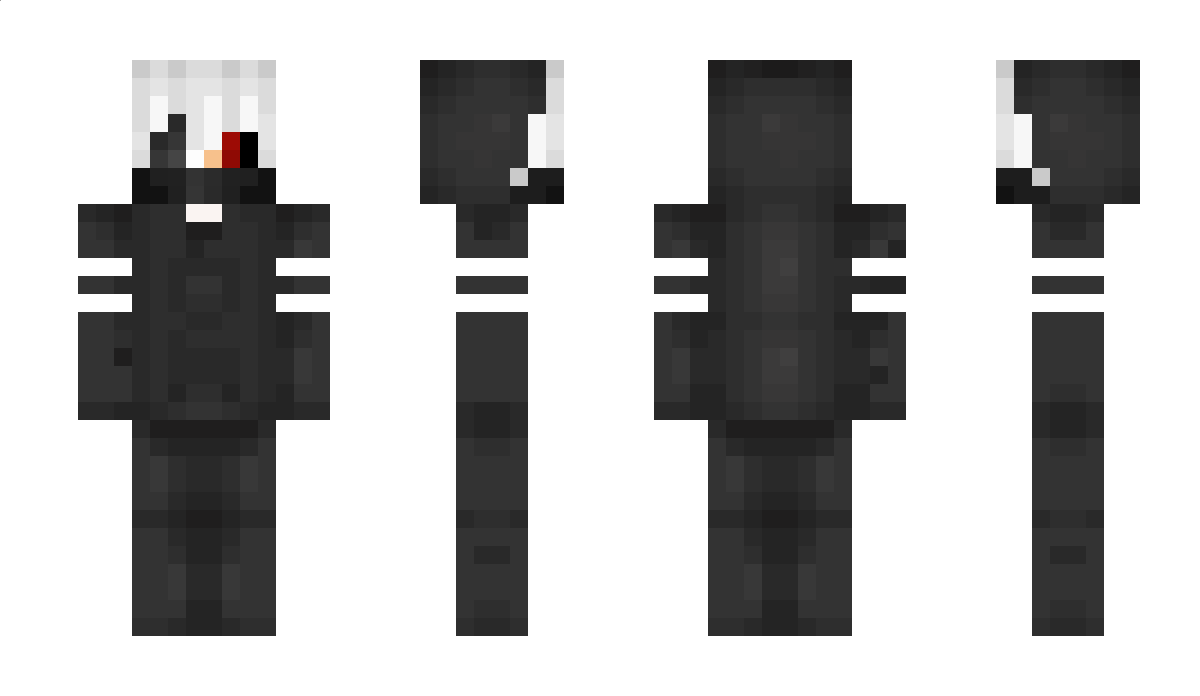 911Plane Minecraft Skin