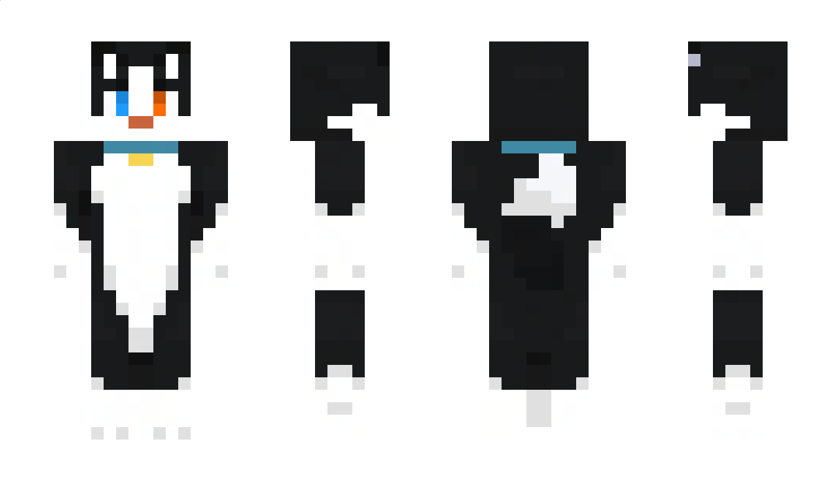 ZimowyGejzberg Minecraft Skin