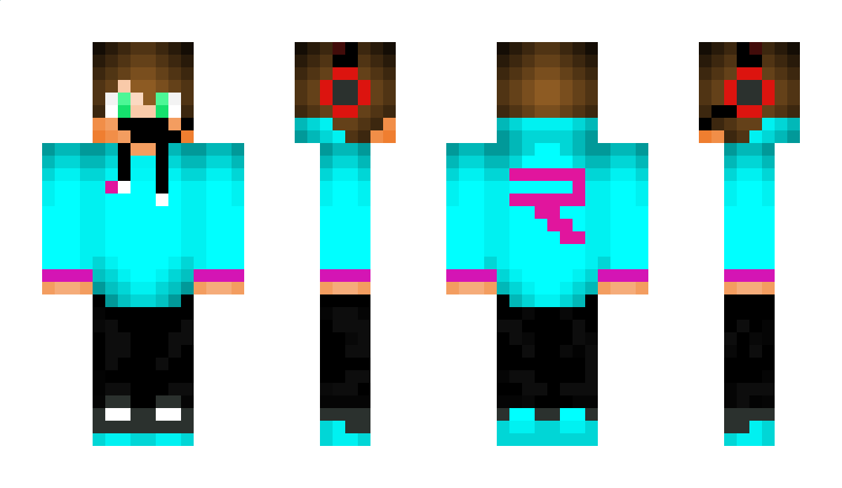 broomestick Minecraft Skin