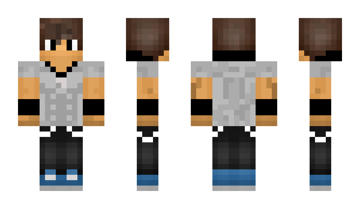 1243 Minecraft Skin