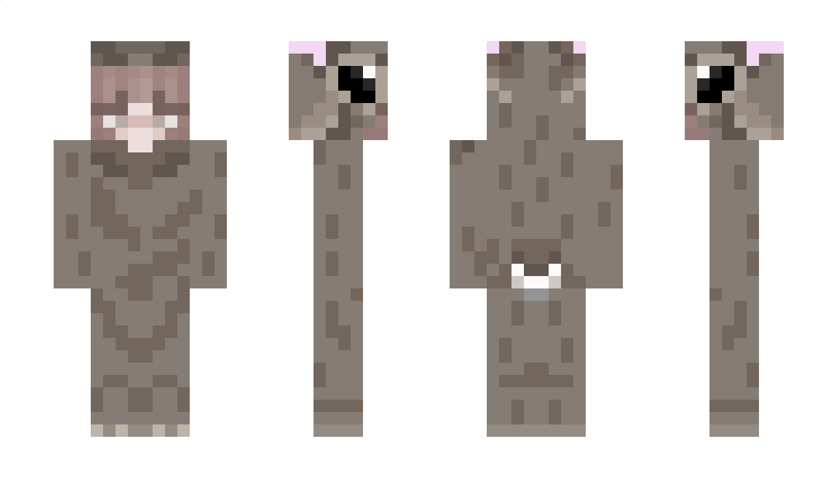 Letzte Minecraft Skin