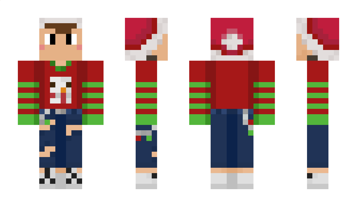 Nikozin Minecraft Skin