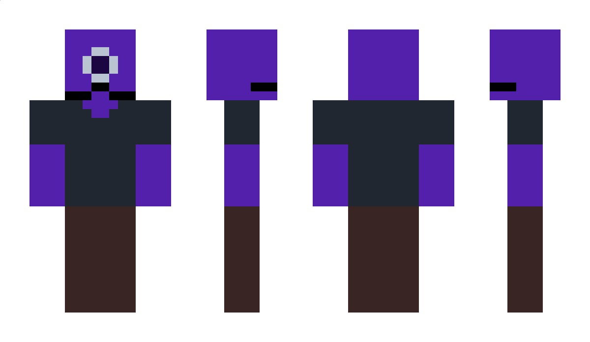 Palley Minecraft Skin