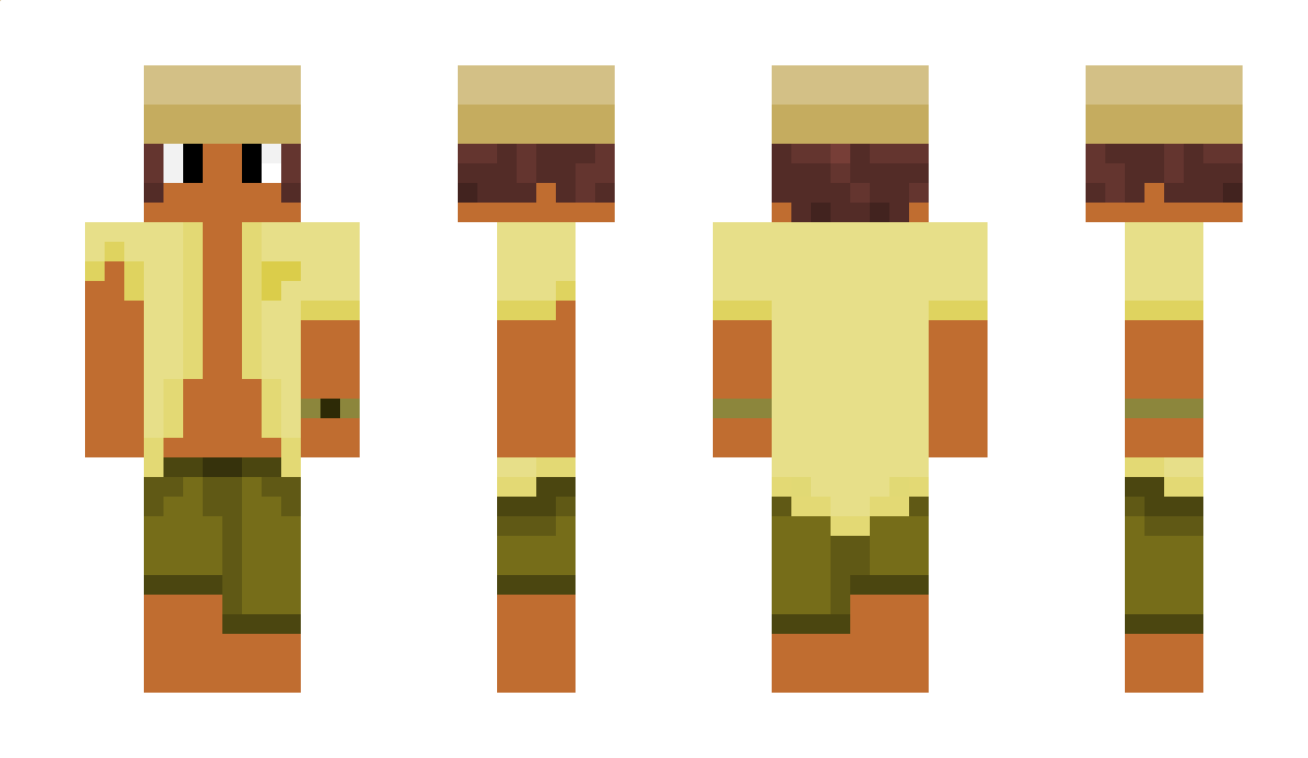 Meeple Minecraft Skin