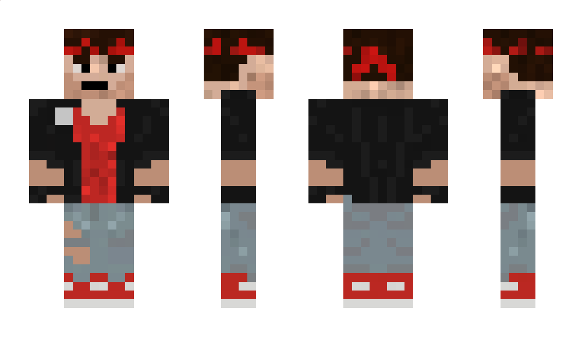 DICD Minecraft Skin