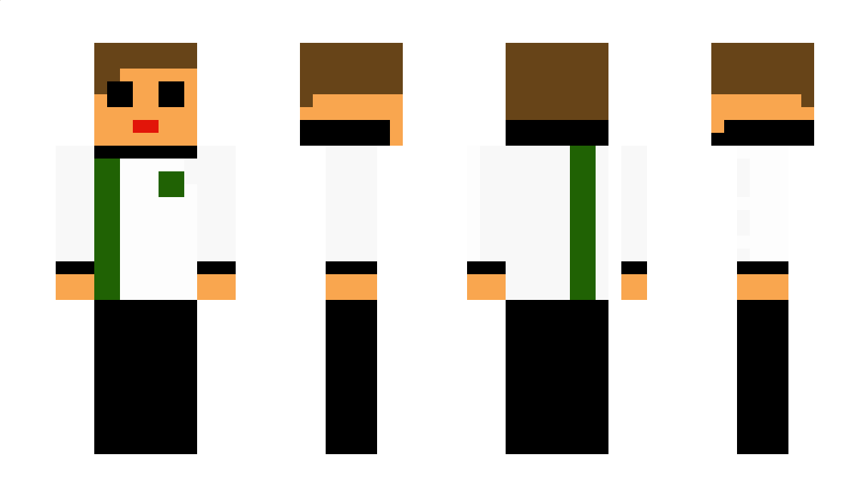 dashni123654 Minecraft Skin