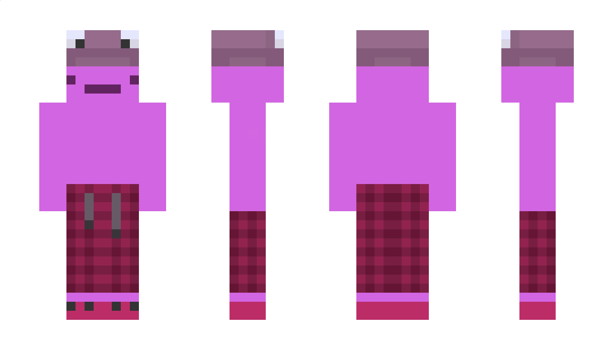 Squidle_ Minecraft Skin