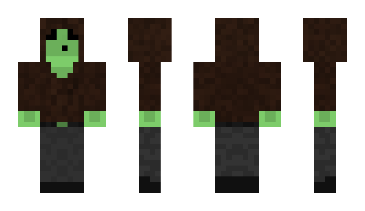 viRR Minecraft Skin