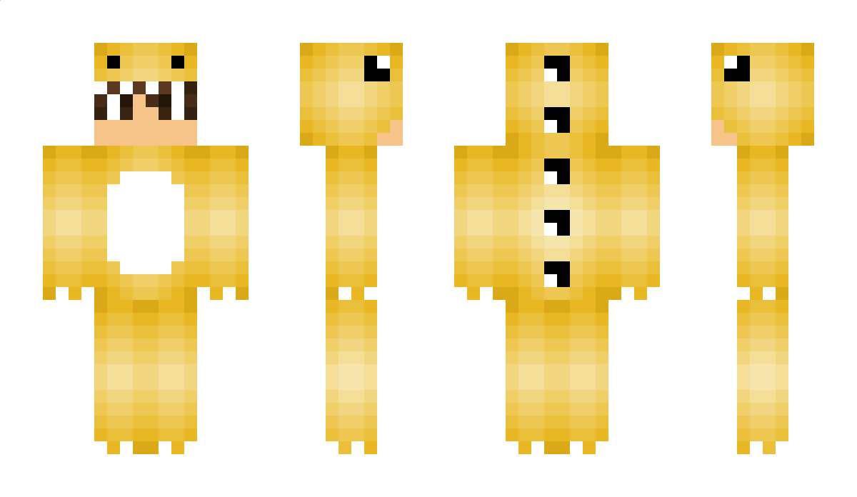 YD17 Minecraft Skin