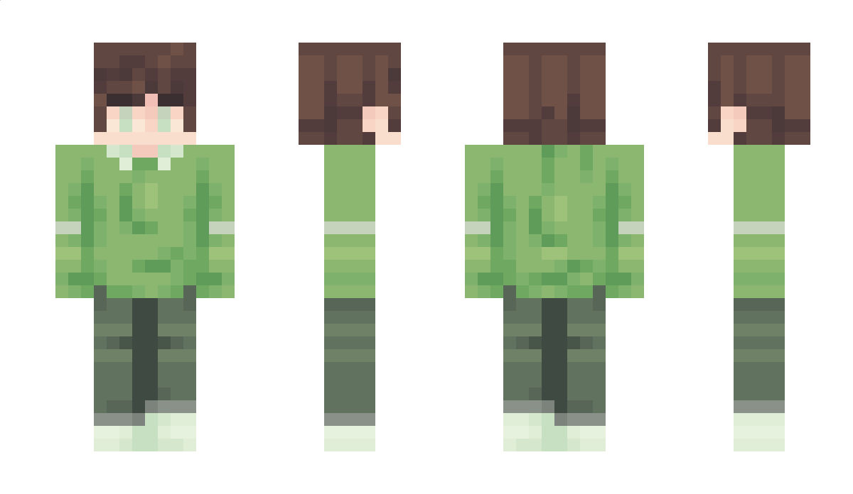 Domi1808 Minecraft Skin