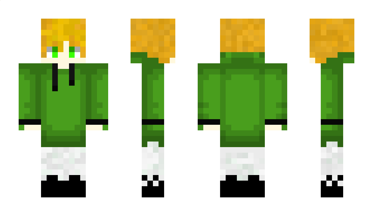 DerMistkaefer Minecraft Skin