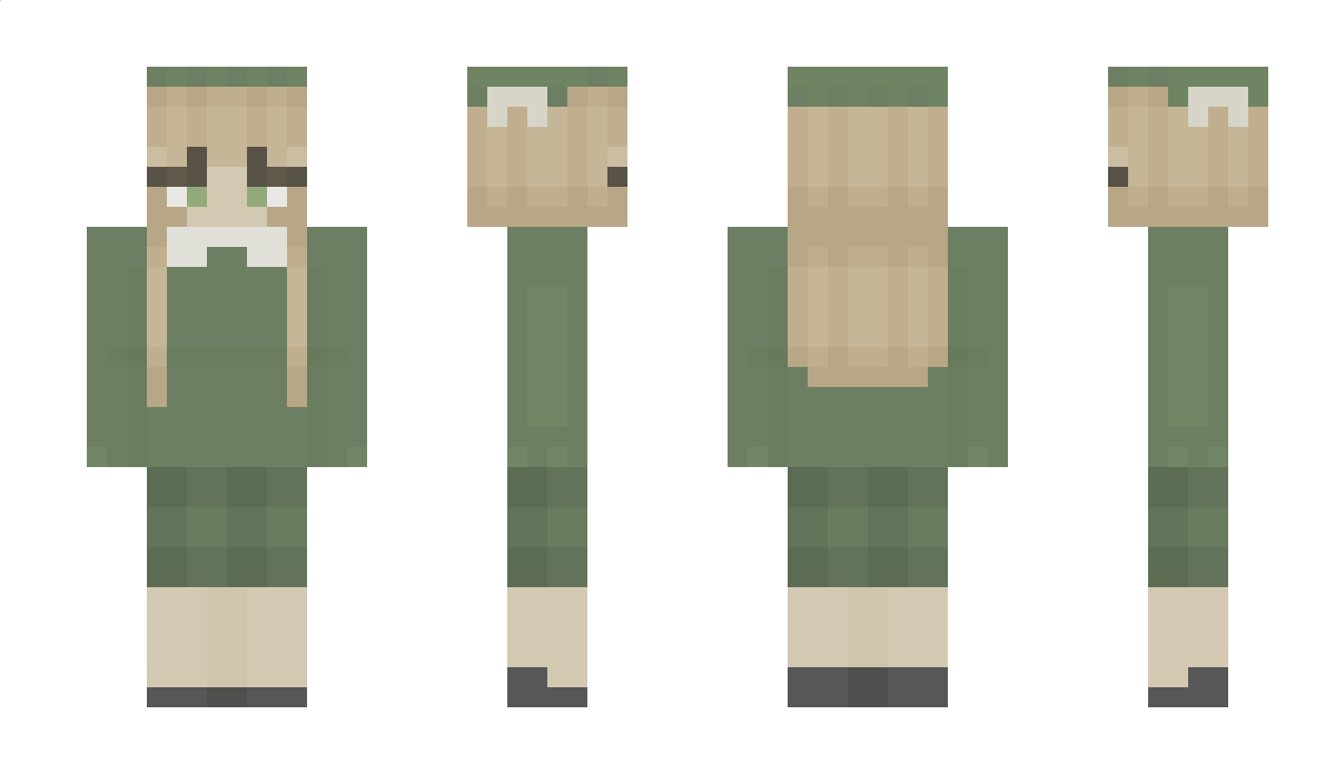 BriceJW Minecraft Skin