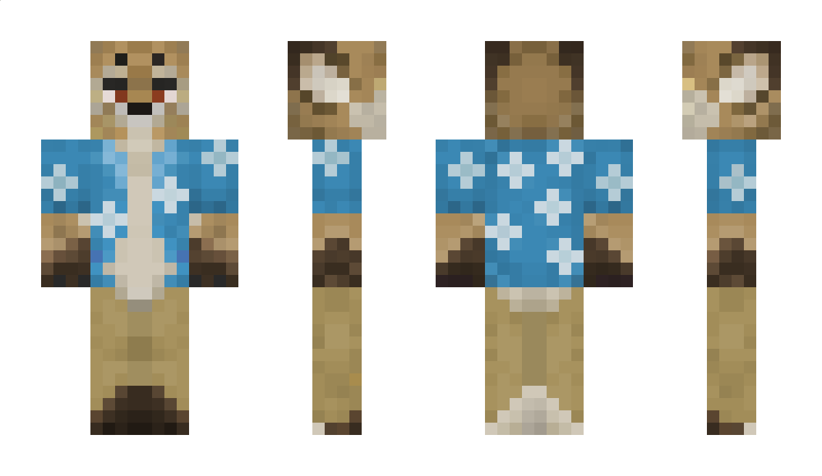 Rollongung Minecraft Skin