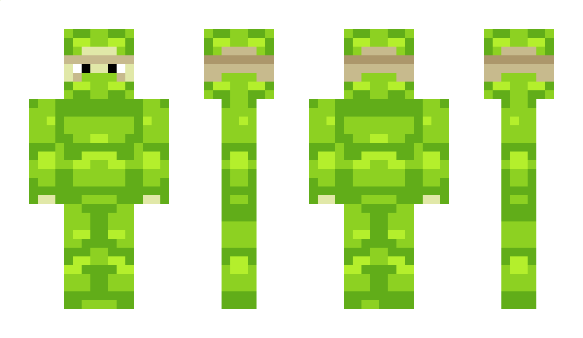 LimeShulkerBox Minecraft Skin