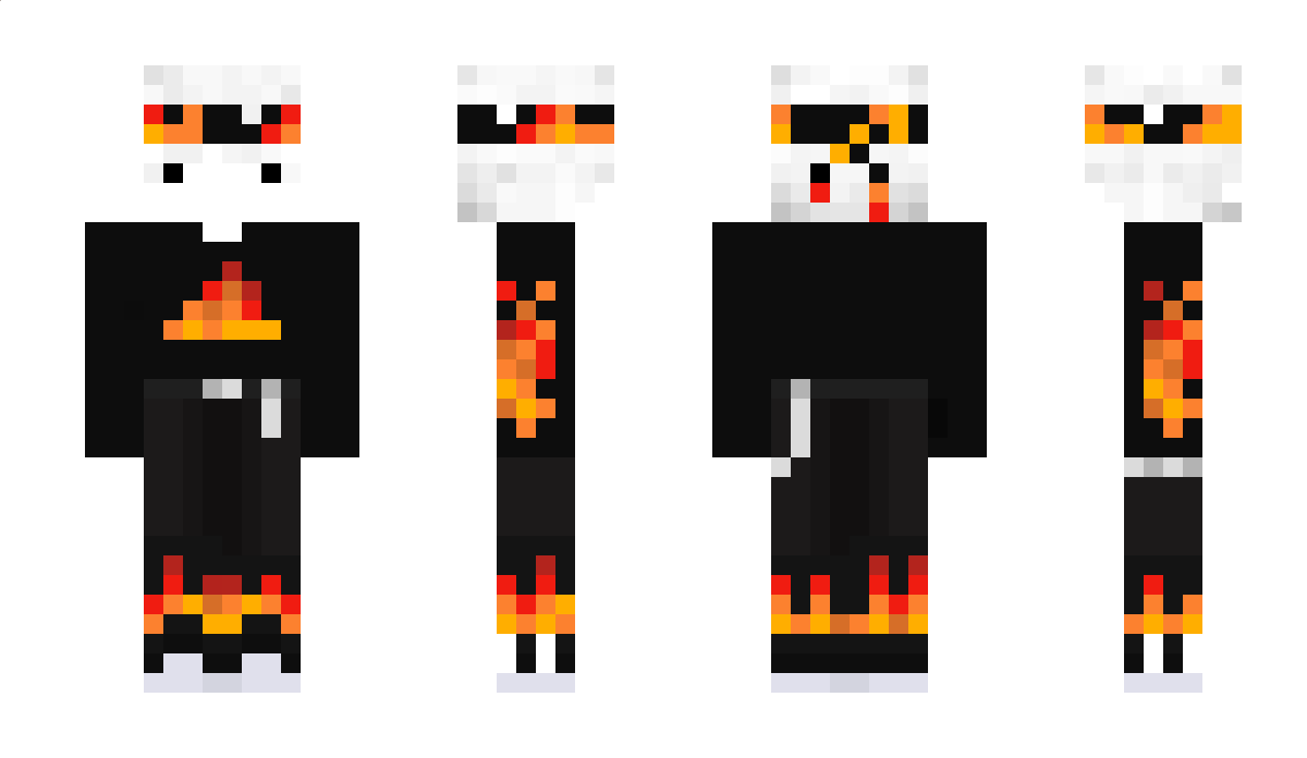 PolarNinja_ Minecraft Skin