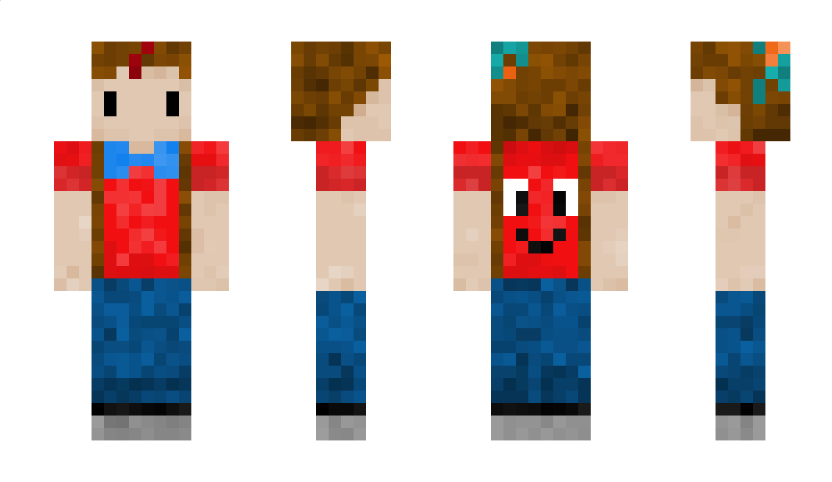 2008Robin Minecraft Skin