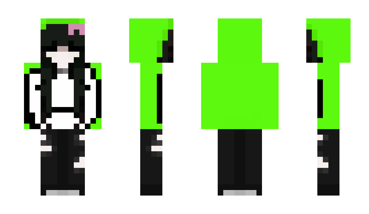 L_aurores Minecraft Skin