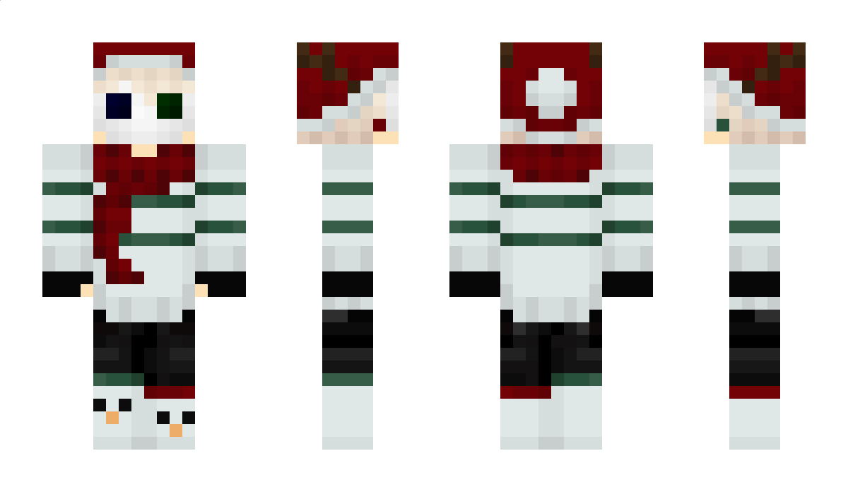 Braydarichest Minecraft Skin