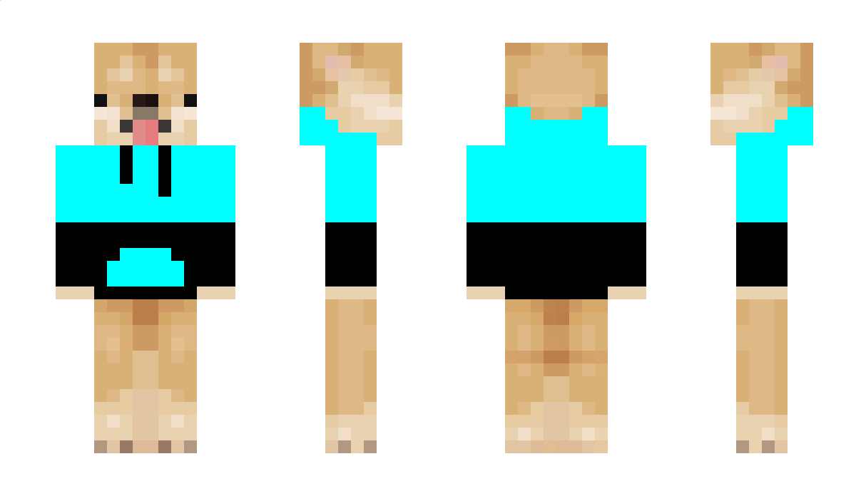 nirekGaming Minecraft Skin