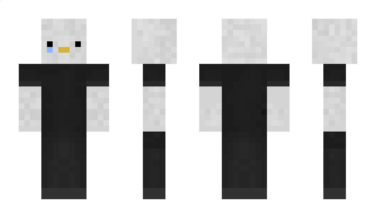 Metsey Minecraft Skin