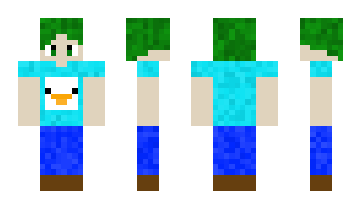 HonkHonkGoose Minecraft Skin