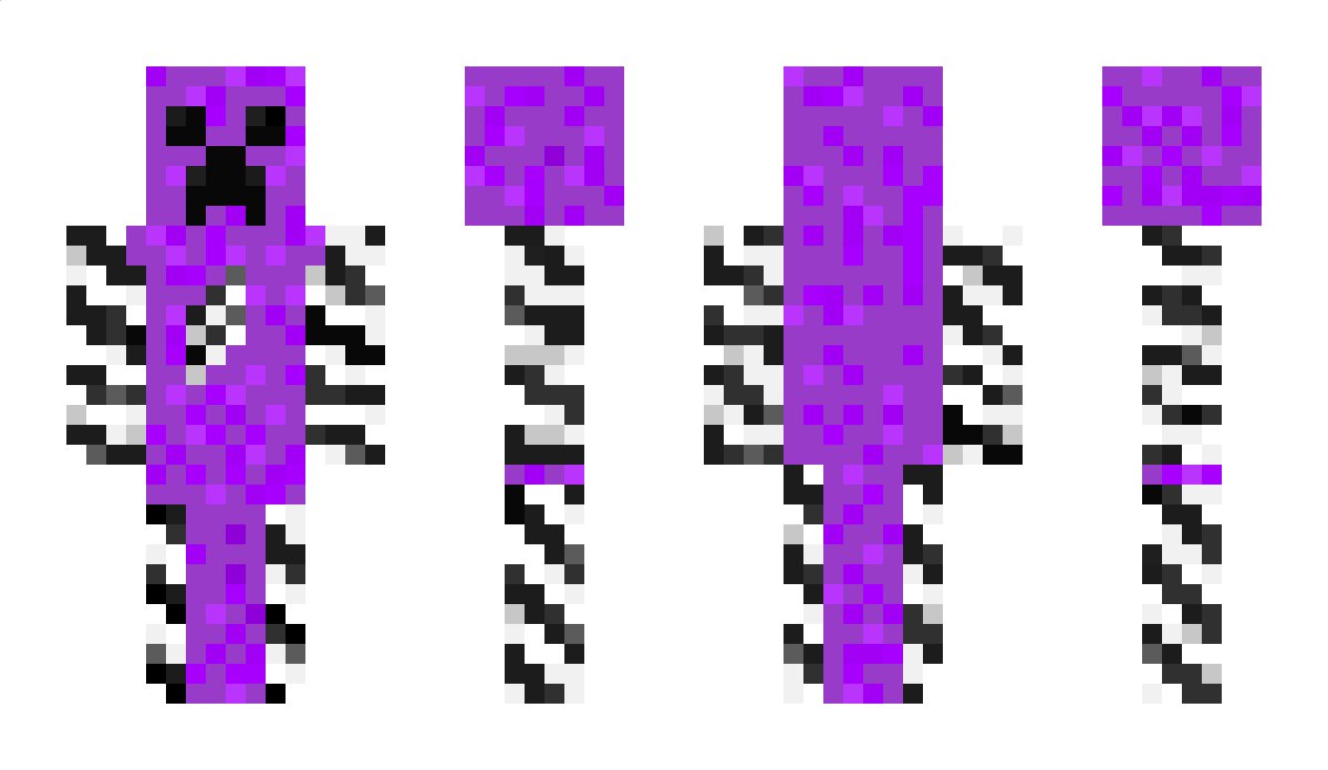 BarryZebra Minecraft Skin