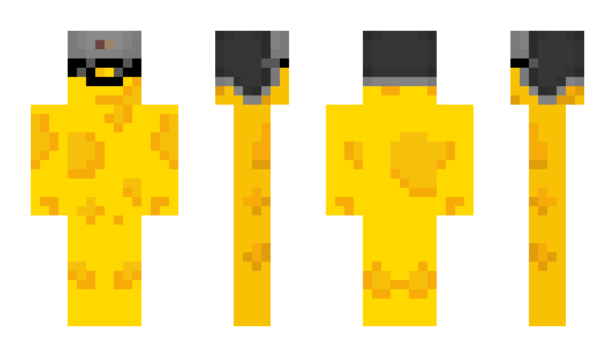 nivikm5 Minecraft Skin