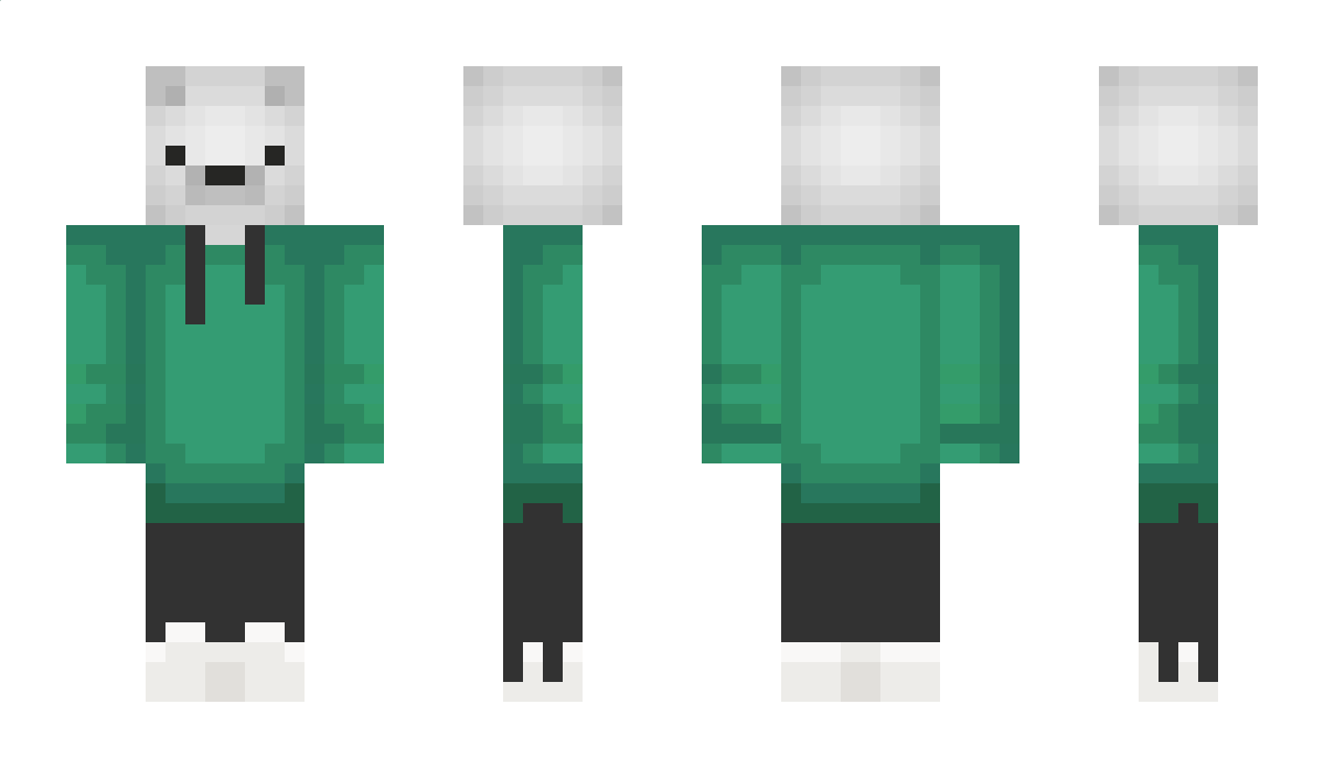 AslanPro9 Minecraft Skin