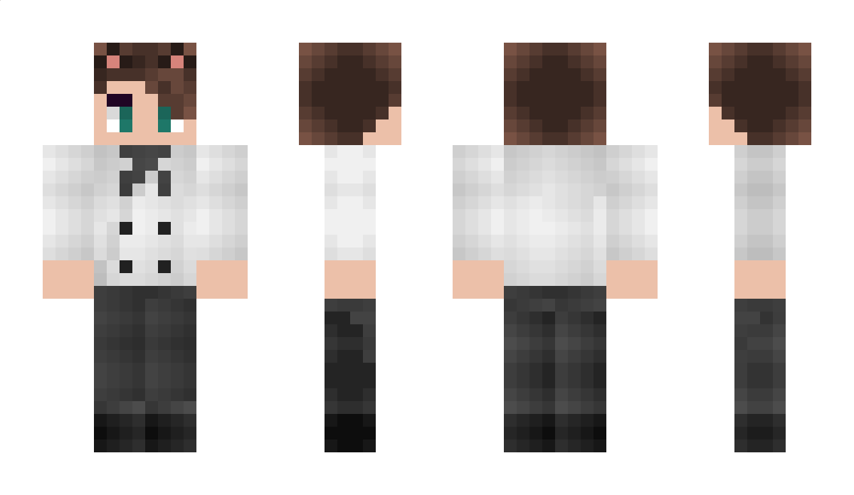 PixelCate Minecraft Skin