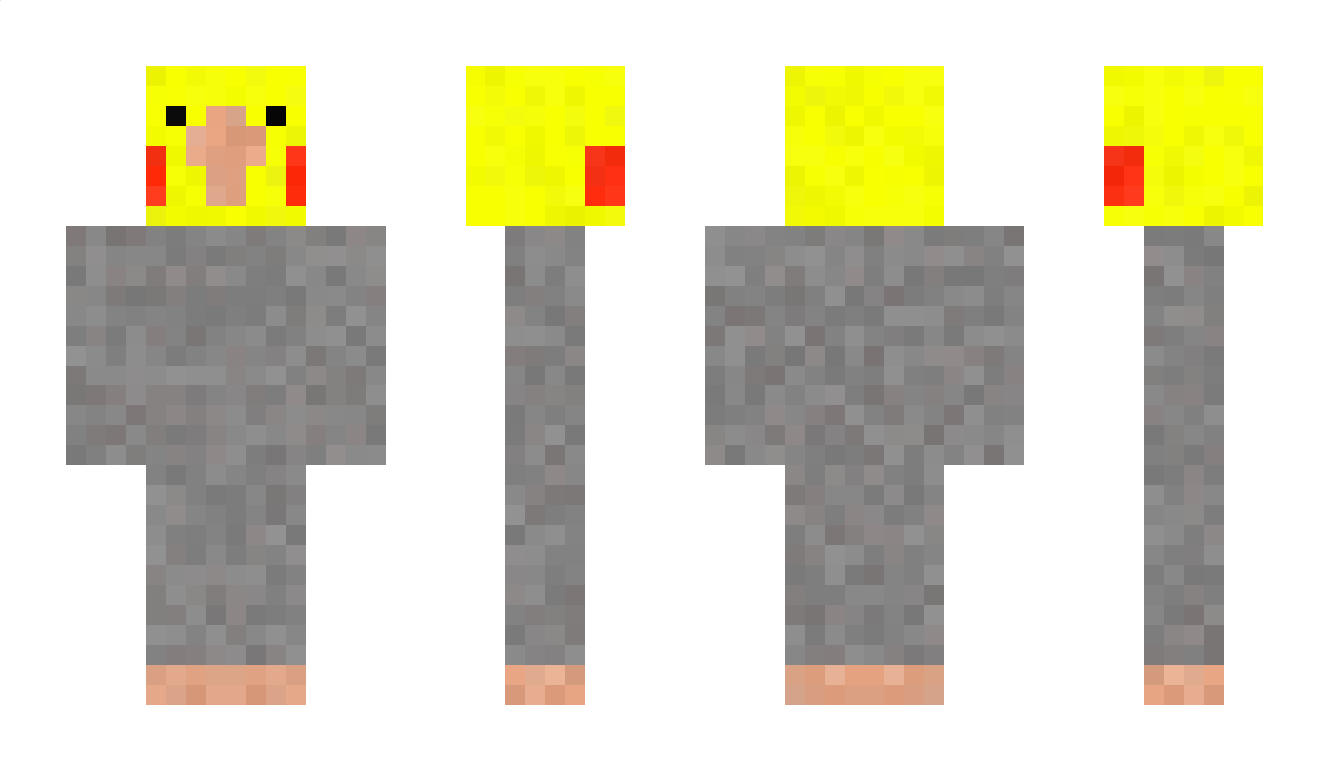 CALOPSITA Minecraft Skin