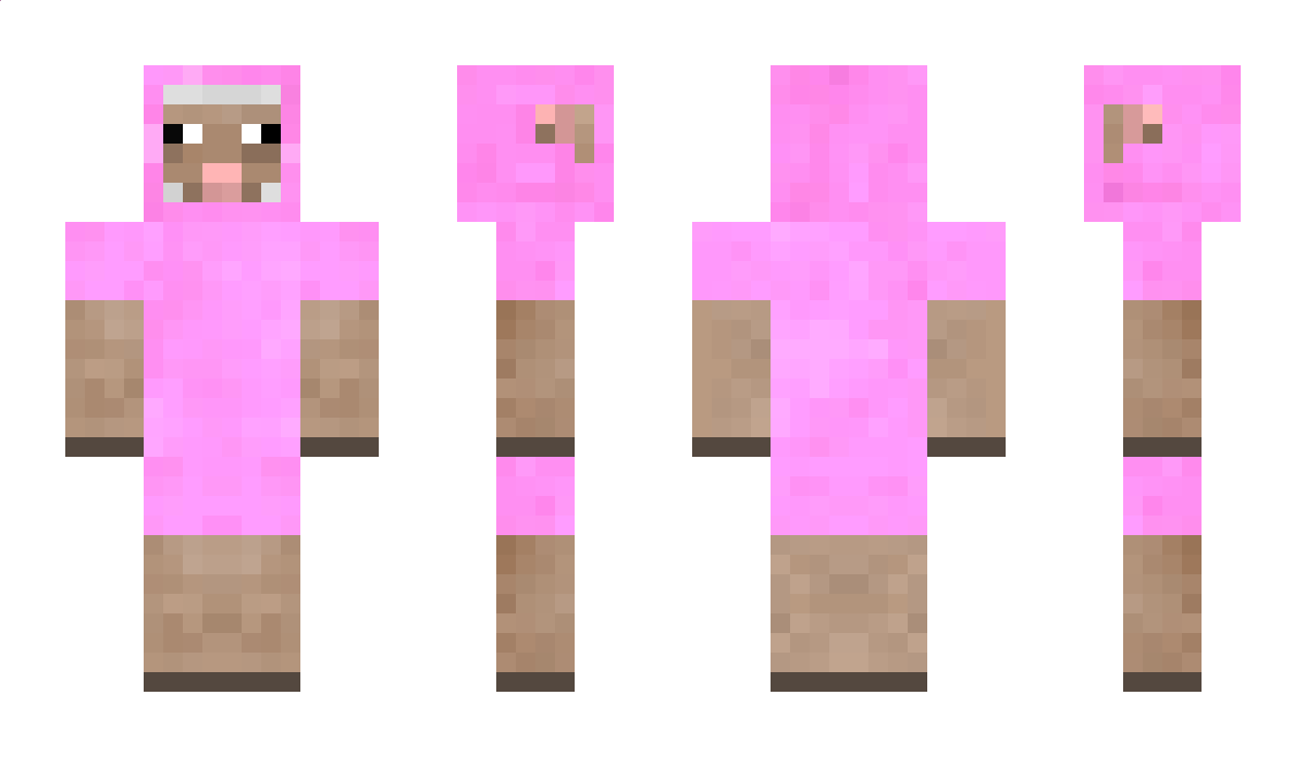 Cooler Minecraft Skin