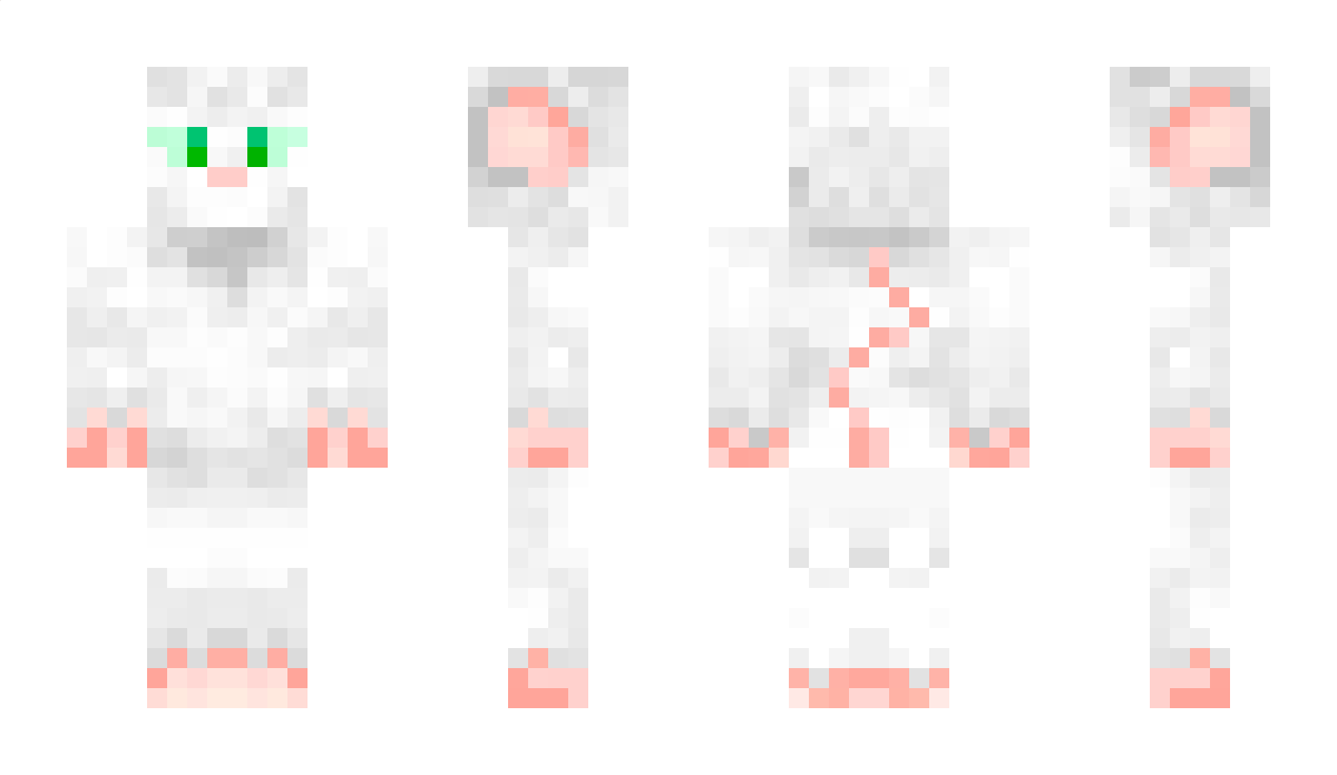 MRL Minecraft Skin