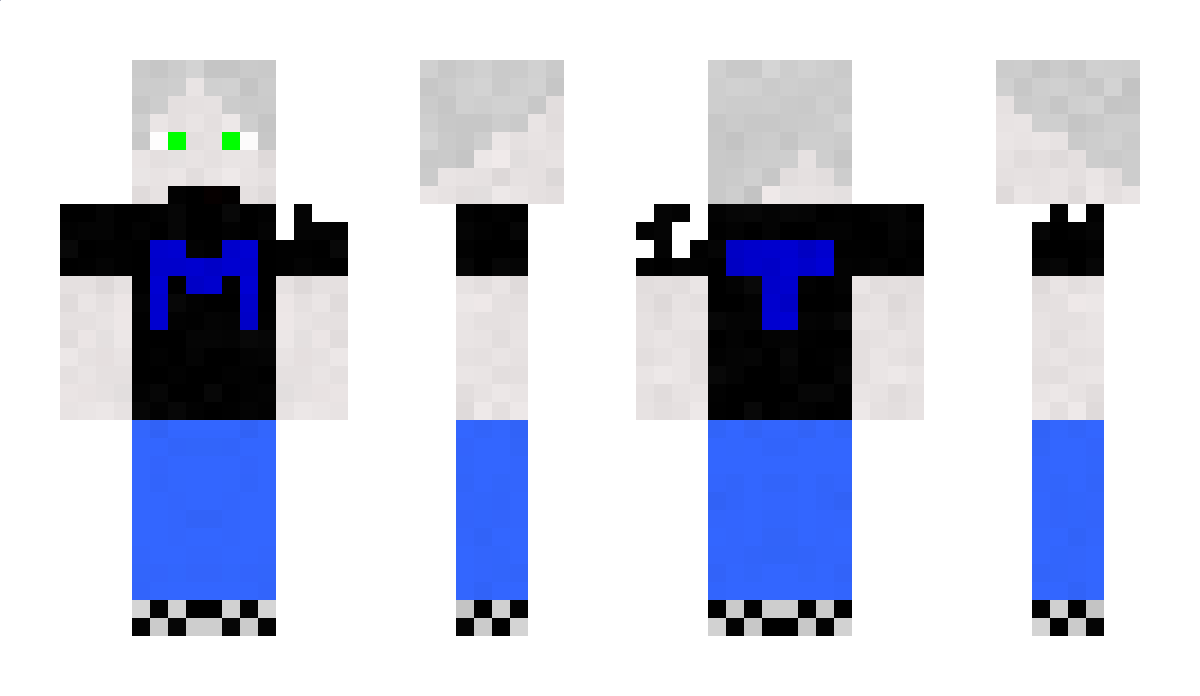 THEMAXMASTER Minecraft Skin