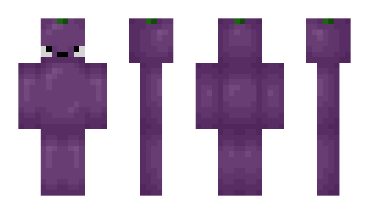 BattleMage_ Minecraft Skin