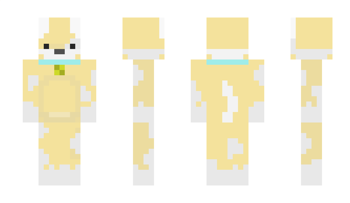 Raccs Minecraft Skin