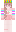 Minecraft Skin