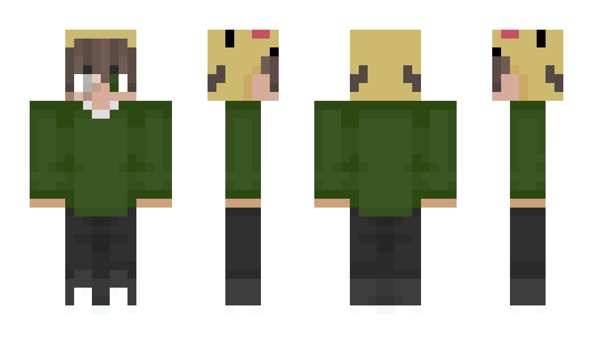 Aelekxs Minecraft Skin