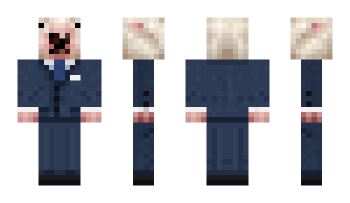 lapi Minecraft Skin