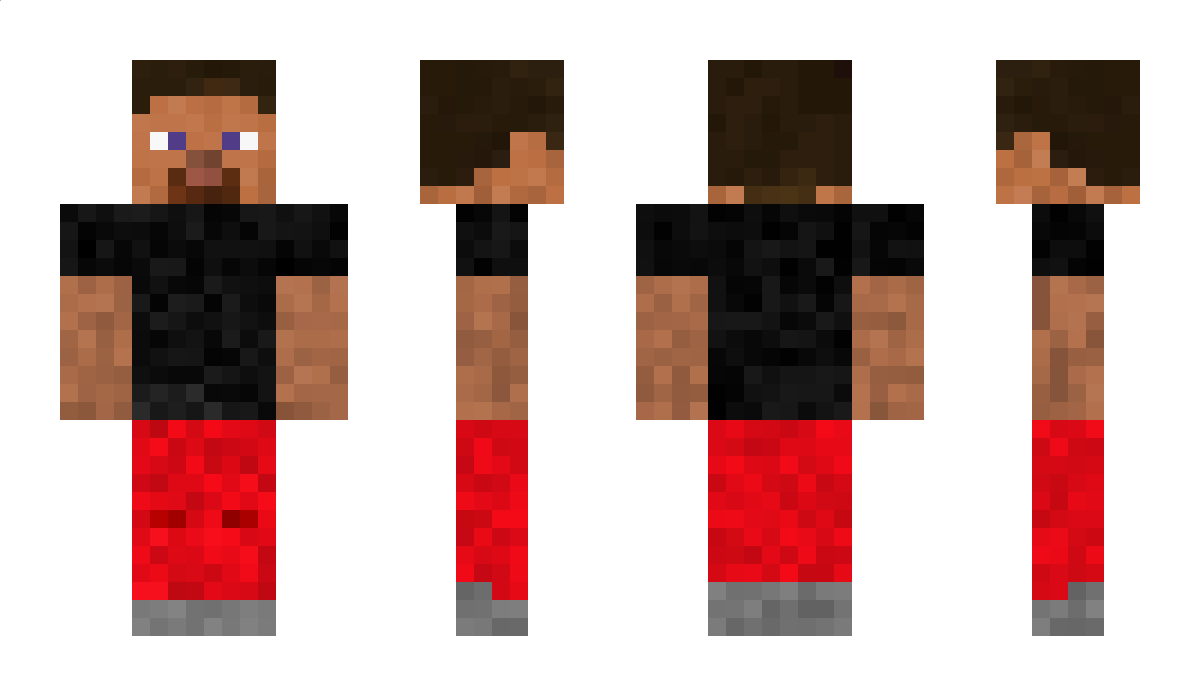 Puzler Minecraft Skin