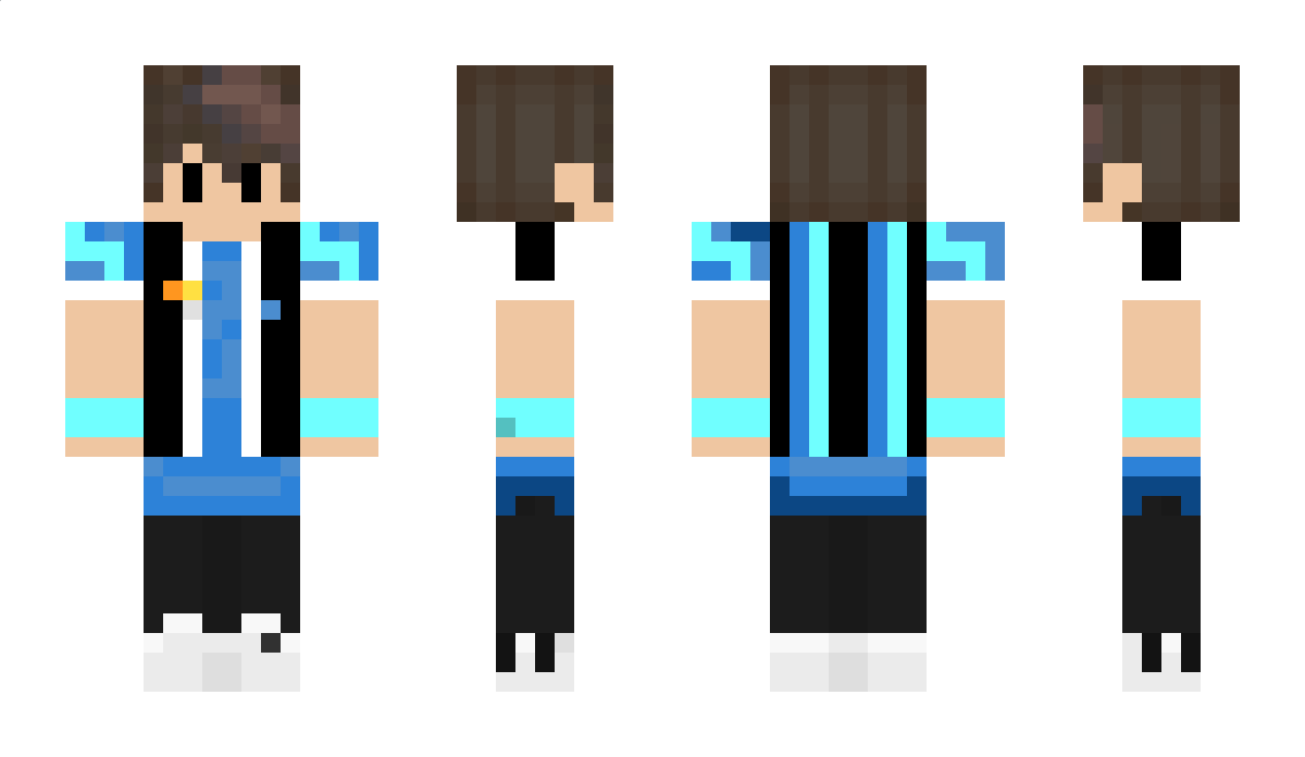 TBricks Minecraft Skin