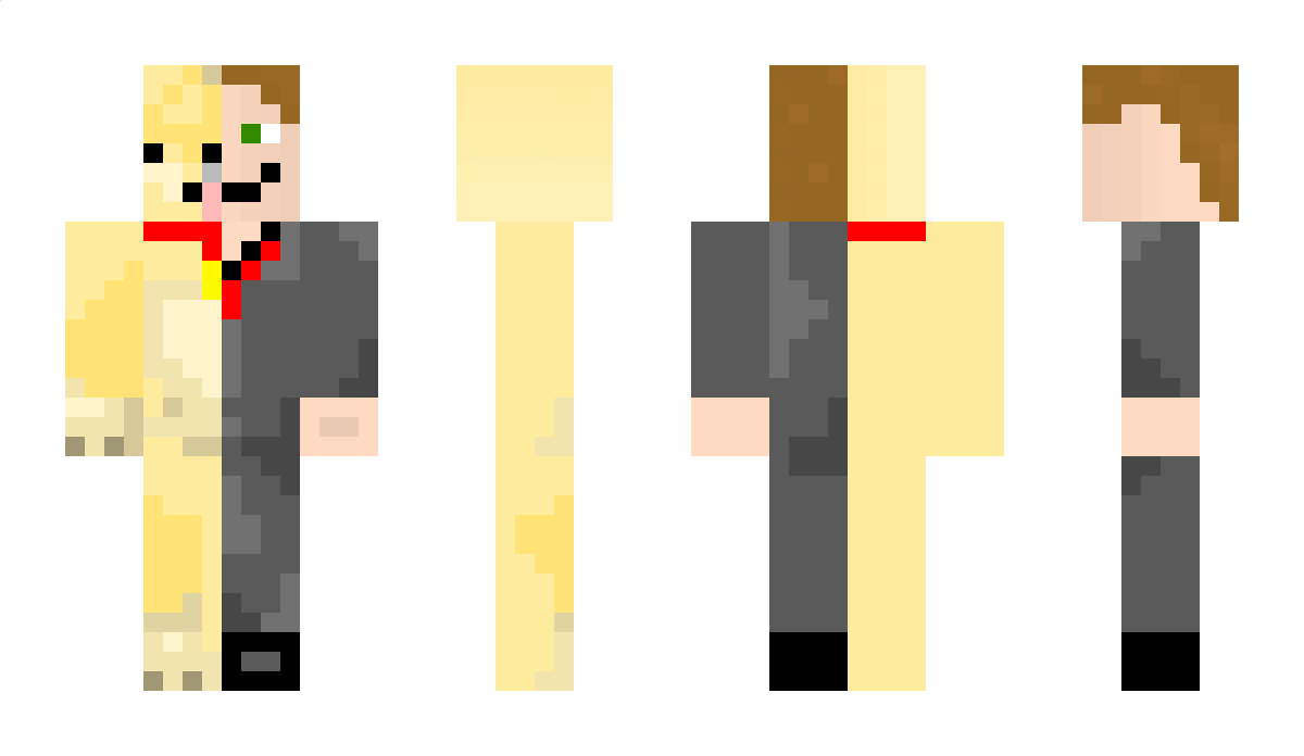 IveCraft Minecraft Skin