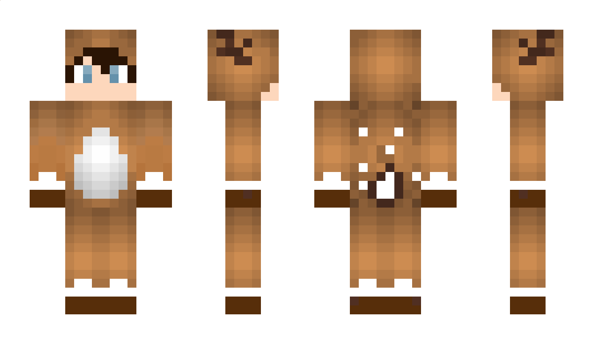 Oberteil Minecraft Skin