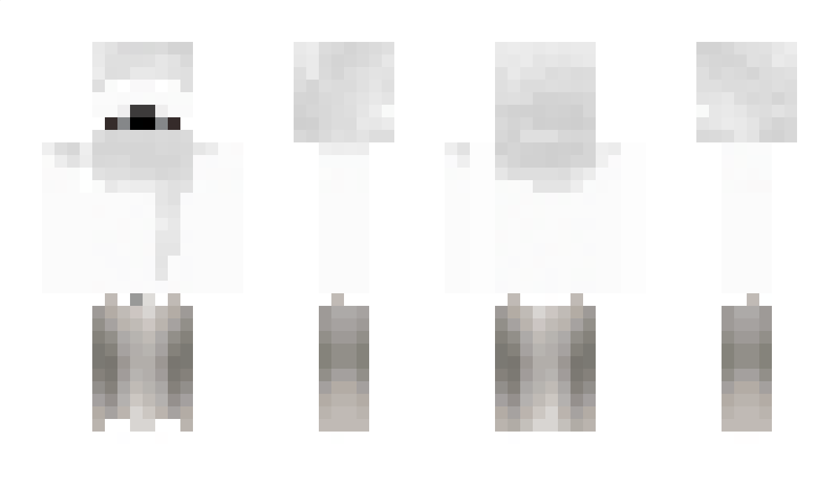 rayko22TM Minecraft Skin